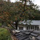 해저댁고택 | 송소고택