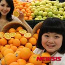 오렌지 이미지