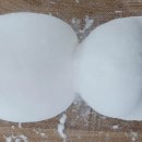 뷰티 앤 도그쇼 이미지