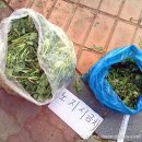 서대전네거리 이미지