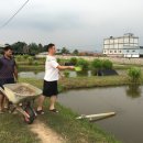 포에버농장 이미지