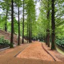 황토메타길 이미지