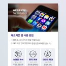 브레인케어 네이버블로그