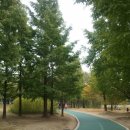 ㈜덕양주유소 이미지