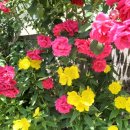 안계경로당 이미지