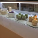 몽쁘티 | 할로윈을 맞이하는 달콤한 TREAT!