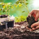 소농농장 이미지