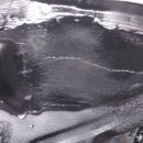 스피드메이트 월피점 이미지