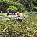 발바닥공원 이미지