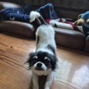 미르아이병원 이미지