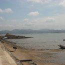 도리포