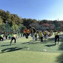 딜라이트커뮤니케이션즈
