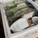 샐러드 정기배송, 매일 달라지는 메뉴 딜리프레쉬 맛보기 !