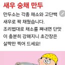 새우 숭채 만두 이미지