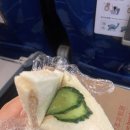 산동 | 산동항공 비행기 탑승 후기