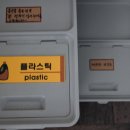 배나무실의아침