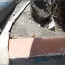 산호동520 이미지