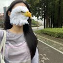 빠마머리＆생머리 이미지