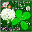 🍀해피 일요일! 당신곁에 언제나 행운이 있기를~ 이미지