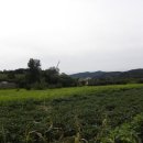 회현농장 이미지