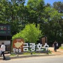 호수정원 | 드라이브 코스로 다녀온 안성 금광호수 하늘정원 산책코스와 먹거리후기