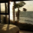 더들집 2 이미지