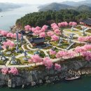 운정호수 수변카페 인근 | 충주 벚꽃, 호수보다 더 설레! 🌸 2025 뚜벅이 인생샷+맛집 성지 BEST 10 (카페 좌표 필수!)