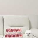 메리도프 이미지