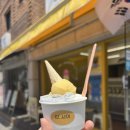 젤라떼리아단;사이