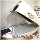 삼희프라자 | 일산바디관리 미모부심 누워서 하는 다이어트 바이오포톤 빼라피 후기