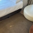 캣츠무인호텔 | 제주 디아일랜드 호텔 프리미어 패밀리 스위트 4인 투숙 후기