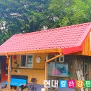 제천현대칼라 이미지