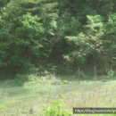 포항시북구43 이미지