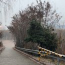 생태공원 이미지