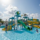 수린약국 이미지