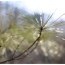 산본중앙공원 이미지