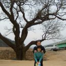 달빛 아리수 이미지