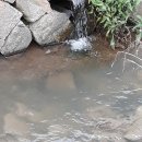 소구월사거리 이미지