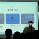 라바스키