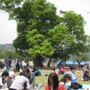 느티나무어린이공원 이미지