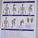 범계필라테스) 가성비 좋은 필라테스 학원 더마인드앤바디에서 exbody 분석 후기