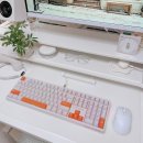 108 | 사무용 저소음 기계식 키보드 풀배열 에포메이커 APROZ TH108 사용후기