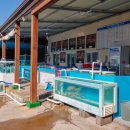 표선교회 이미지