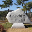 내곡3리 Daum카페