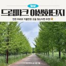 환경체육단지(돔형) | 드림파크 야생화단지, 인천 무료 가볼만한 곳 찾는다면 여기!(주차위치, 주말방문 후기)