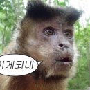 뉴스타휘트니스 이미지