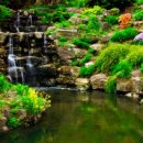 풍림농원 이미지