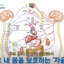 스트레스와 자율신경계 이미지