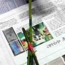 꽃꽂이 초.중급 이미지