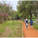 광주광역시북구보건소 | [공지] 흙길 위, 깊어진 걸음... 맨발걷기클럽 3강의 풍경